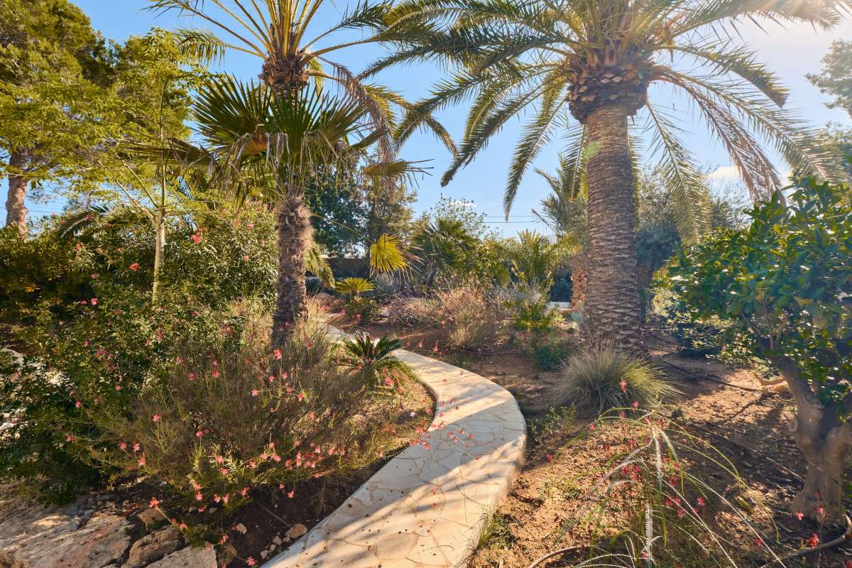 7 slaapkamer villa in San Rafael