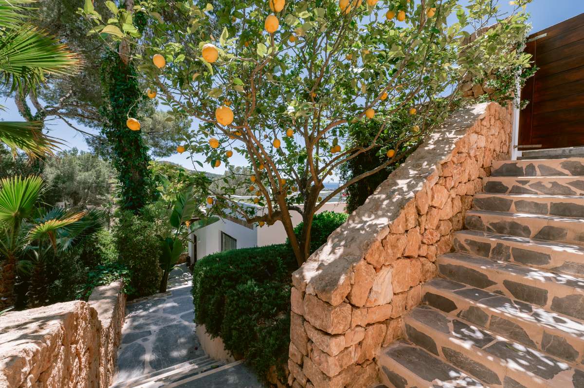 6 slaapkamer villa in Can Furnet